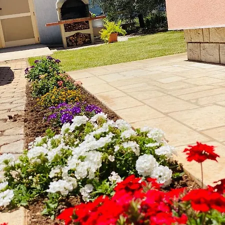 Prodan * Фажана