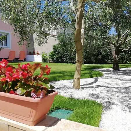 Apartment Prodan