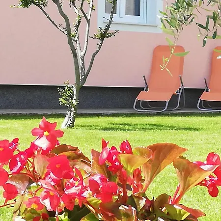 Apartment Prodan *