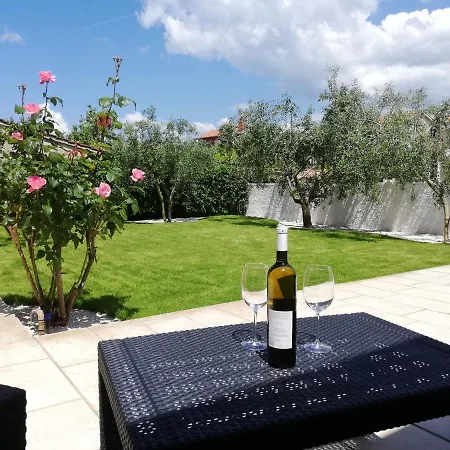 Prodan Apartament *
